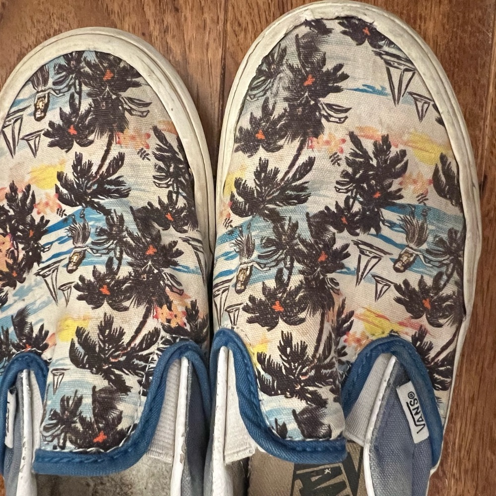 Custom vans slip on